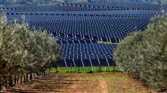 Νέο Φωτοβολταϊκό Πάρκο από την Phoenix Solar Hellas στην Κεντρική Μακεδονία